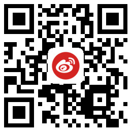 DB中国发展有限公司